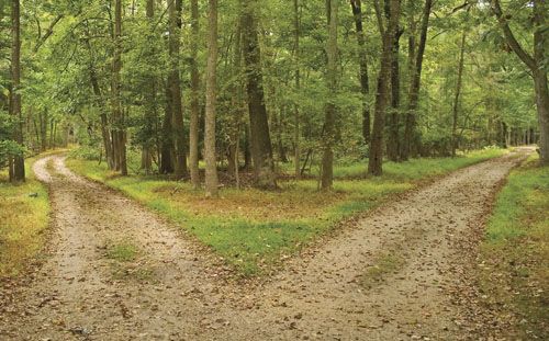 Two roads representing two different approaches tot he same diagnosis