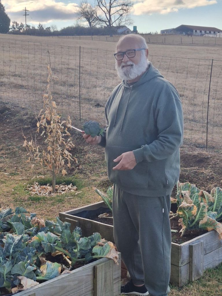 Jean harvesting broccoli from the vegetable garden - growing healthy food as part of his natural living journey