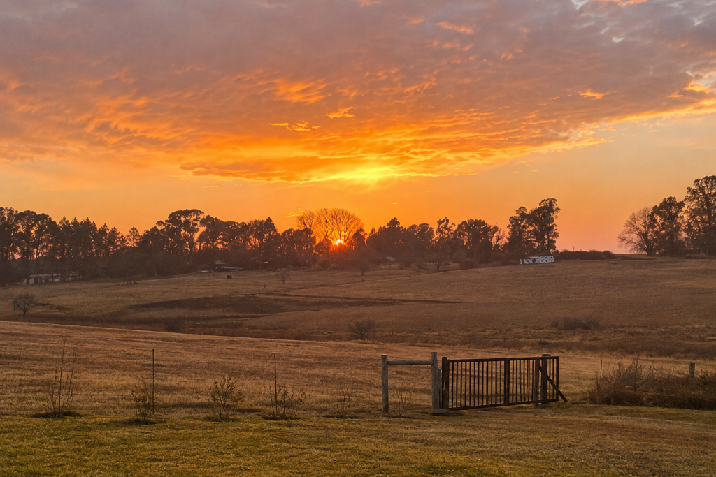 Nicksview Sunrise - hope for healing
